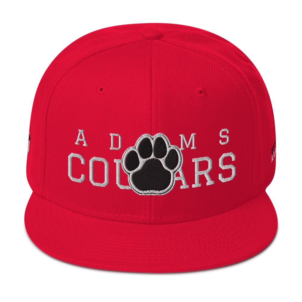 330 City Classic Adams Cougars Snapback Hat