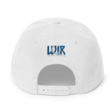 Columbus BlueBirds 614 Vintage Snapback Hat