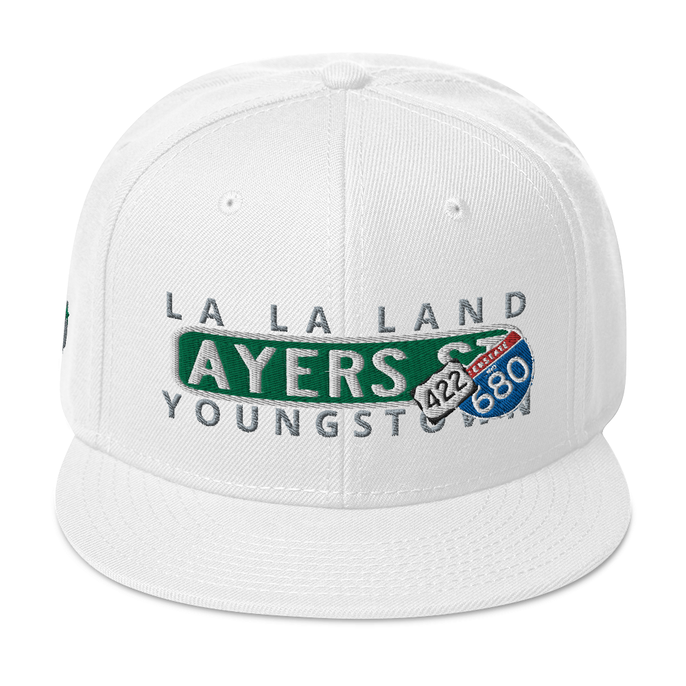 Day 2 Night Ayers St YO Snapback Hats