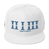 213 Stateside LTD Snapback Hat