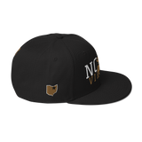 Akron City Series North Vikings Snapback Hat