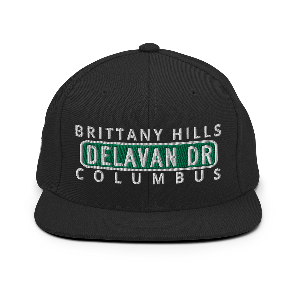 City Nighst Delavan Dr Snapback Hat