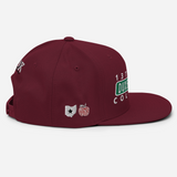 Streets Duxberry Ave Linden McKinley Snapback Hat