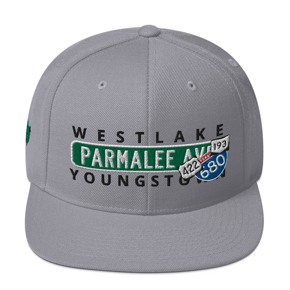 Concrete Streets Parmalee Ave YO Snapback Hat