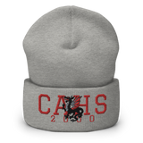 Columbus CAHS Dragons 2000 Classic Cuffed Beanie