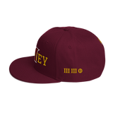 330 City Classic Mooney Snapback Hat