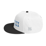 313 Stateside LTD Snapback Hat
