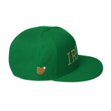 330 City Classic Irish Snapback Hat