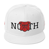 330 City Series Special North Snapback Hat