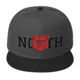 330 City Series Special North Snapback Hat