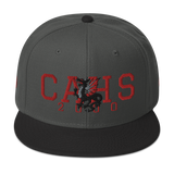 Columbus CAHS Dragons 2000 Classic Snapback Hat