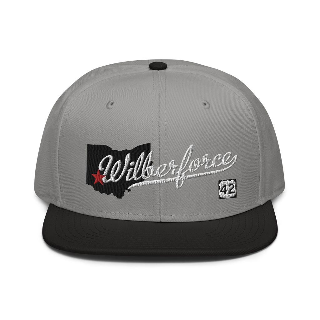 Wilberforce Rt42 Snapback Hat