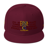 DNA Level C Snapback Hat