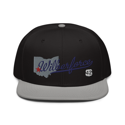 Wilberforce Rt42 Snapback Hat